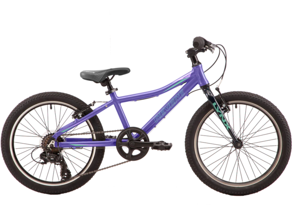 Revere Bicycles Lynx 20